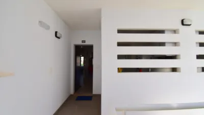 Apartment in Playa Flamenca-Las Piscinas photo 10
