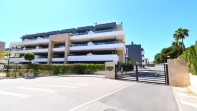 Apartment in Playa Flamenca-Las Piscinas photo 16
