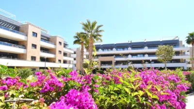 Apartment in Playa Flamenca-Las Piscinas photo 18