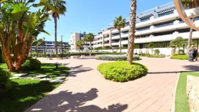 Apartment in Playa Flamenca-Las Piscinas photo 19