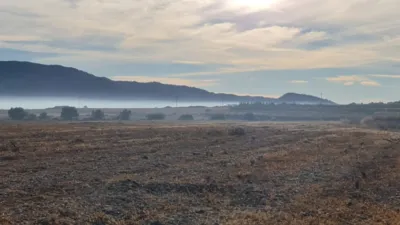 Terreno en venta en Monòver - Monóvar - Vista 4