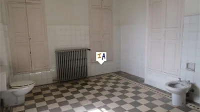 House in Alcaudete photo 11