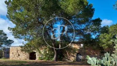 House in Felanitx photo 13