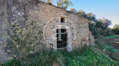 House in Felanitx photo 16