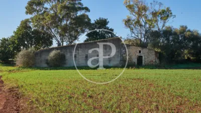 House in Felanitx photo 17