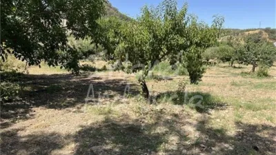 Chalet in El Sabariego photo 16