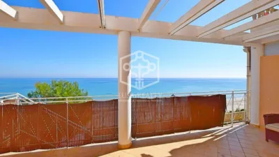 House in Orihuela, El Pinar de Campoamor, Dehesa de Campoamor - Vista 5