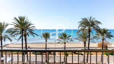 Apartment in S'Arenal photo 2