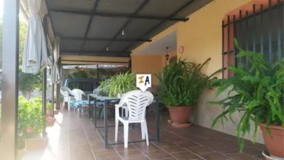 Rustic finca in Alcaucín photo 10