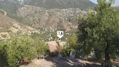 Rustic finca in Alcaucín photo 11