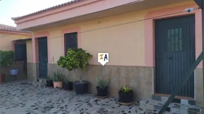 Rustic finca in Alcaucín photo 6