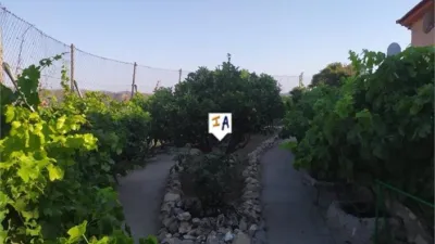 Rustic finca in Alcaucín photo 8