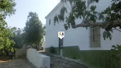 Rustic Finca in El Sabariego photo 13