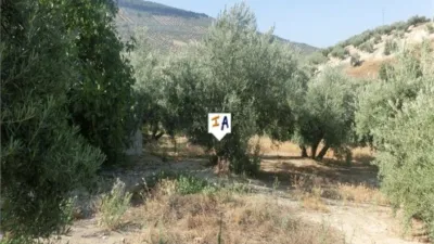 Rustic Finca in El Sabariego photo 6