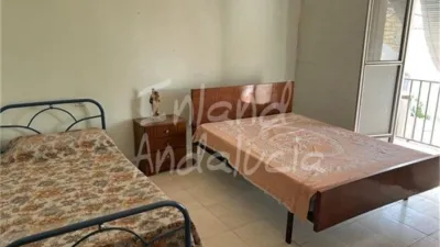 House in Luque photo 10