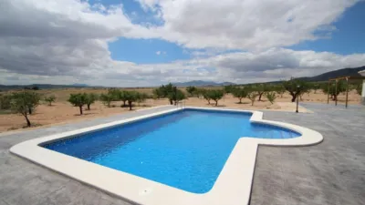 Chalet in El Pinós - Pinoso photo 3