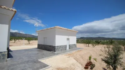 Chalet in El Pinós - Pinoso photo 4