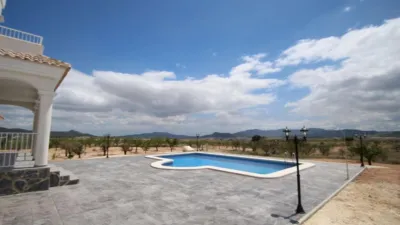 Chalet in El Pinós - Pinoso photo 6