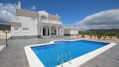 Chalet in El Pinós - Pinoso photo 7