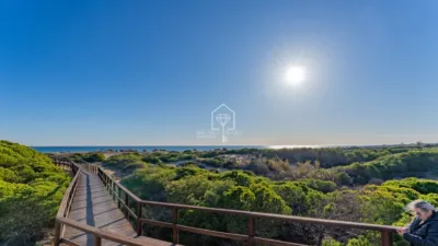 Apartment in Los Arenales del Sol photo 36