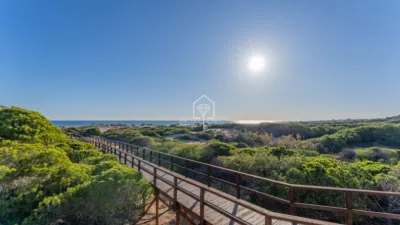 Apartment in Los Arenales del Sol photo 37