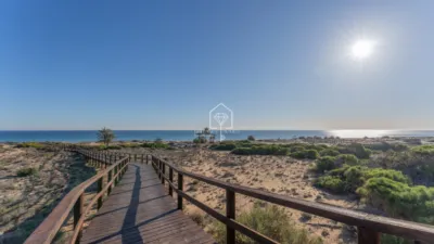 Apartment in Los Arenales del Sol photo 39