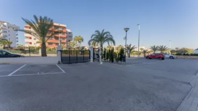 Apartment in Los Arenales del Sol photo 40