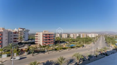 Apartment in Los Arenales del Sol photo 43