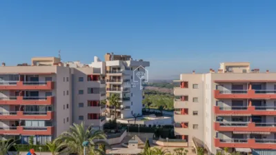 Apartment in Los Arenales del Sol photo 44