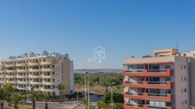 Apartment in Los Arenales del Sol photo 45