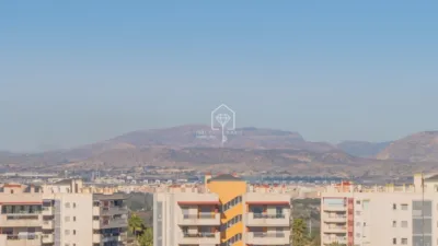 Apartment in Los Arenales del Sol photo 46