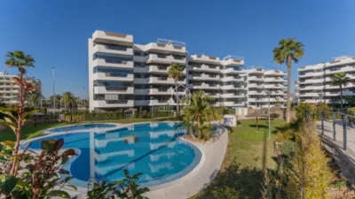 Apartment in Los Arenales del Sol photo 50
