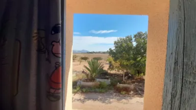 Rustic Finca in Jumilla photo 10