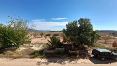 Rustic Finca in Jumilla photo 4