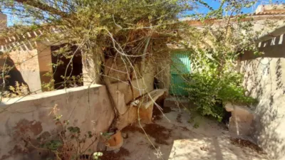 Rustic Finca in Jumilla photo 8