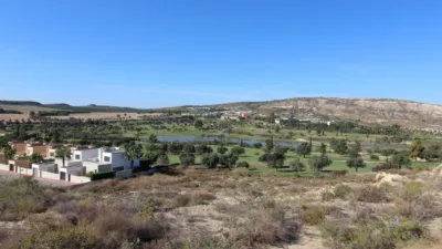 Chalet in Algorfa photo 10