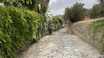 Rustic Finca in El Sabariego photo 3