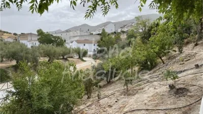 Rustic Finca in El Sabariego photo 5