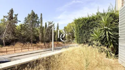 Apartment in Sant Pere de Ribes photo 24