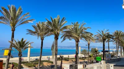 Apartment in Palma de Mallorca photo 2