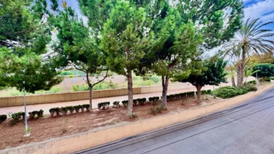 Apartamento en Formentera del Segura photo 21