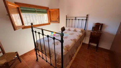 House in Serón photo 34