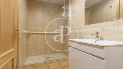 Apartment in Fuente del Berro photo 45