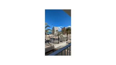 Apartment in Los Arenales del Sol photo 26