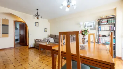 Apartment in San Blas photo 4