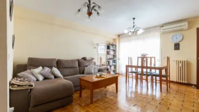 Apartment in San Blas photo 2