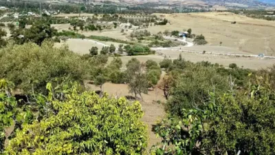 Rustic Finca in Coín photo 13
