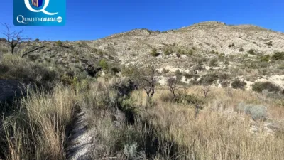 Terreno en venta en Orcheta - Vista 3