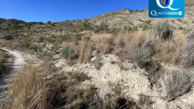 Terreno en venta en Orcheta - Vista 5