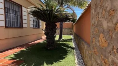 Chalet on Calle de la Alhucema photo 24